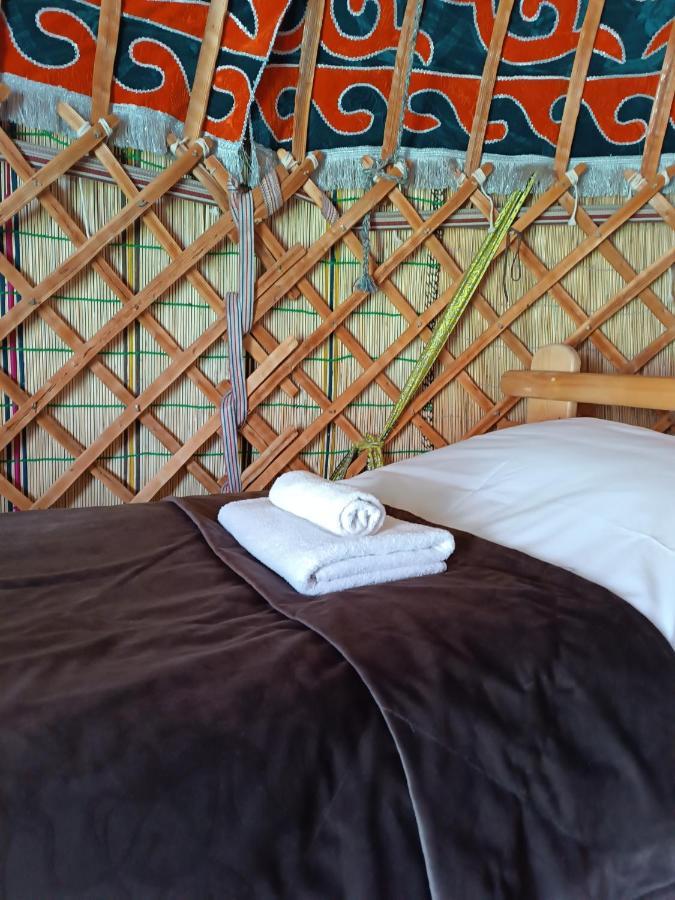 Yurt Stay In Downtown Karakol Rum bild